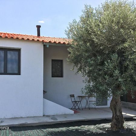 Вилла Casas Da Baronia Casa Catarina Vila Nova da Baronia Экстерьер фото